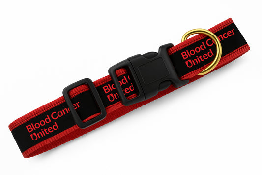 Blood Cancer United Heavy Duty Pet Collar